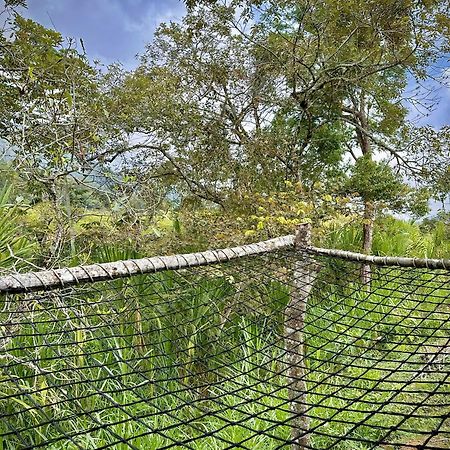 Finca Ecoparaiso Ibagué Esterno foto