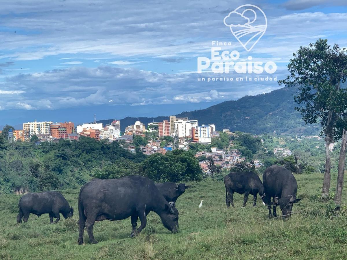 Finca Ecoparaiso Ibagué Esterno foto