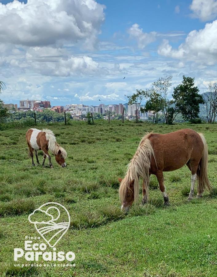 Finca Ecoparaiso Ibagué Esterno foto