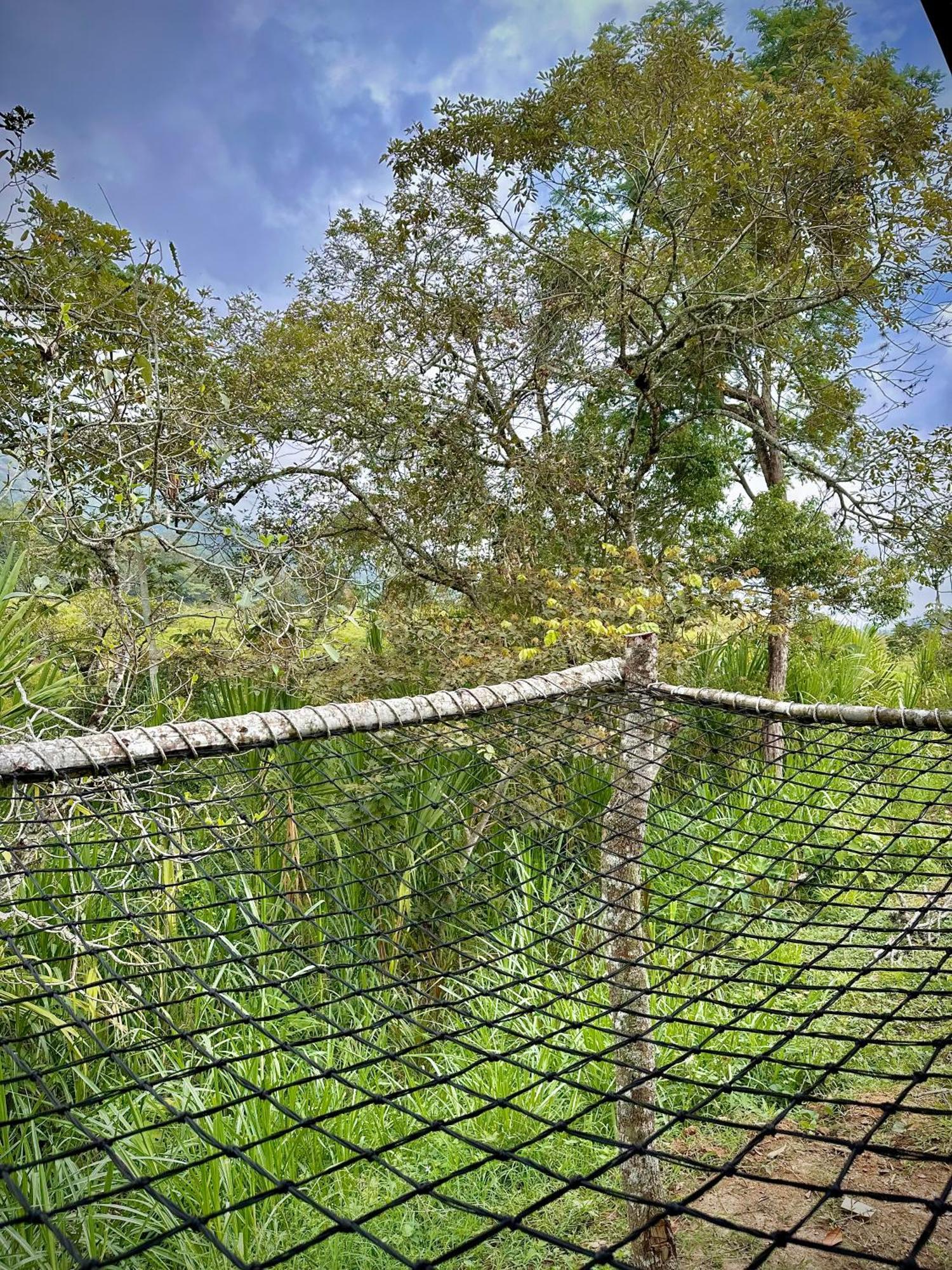 Finca Ecoparaiso Ibagué Esterno foto